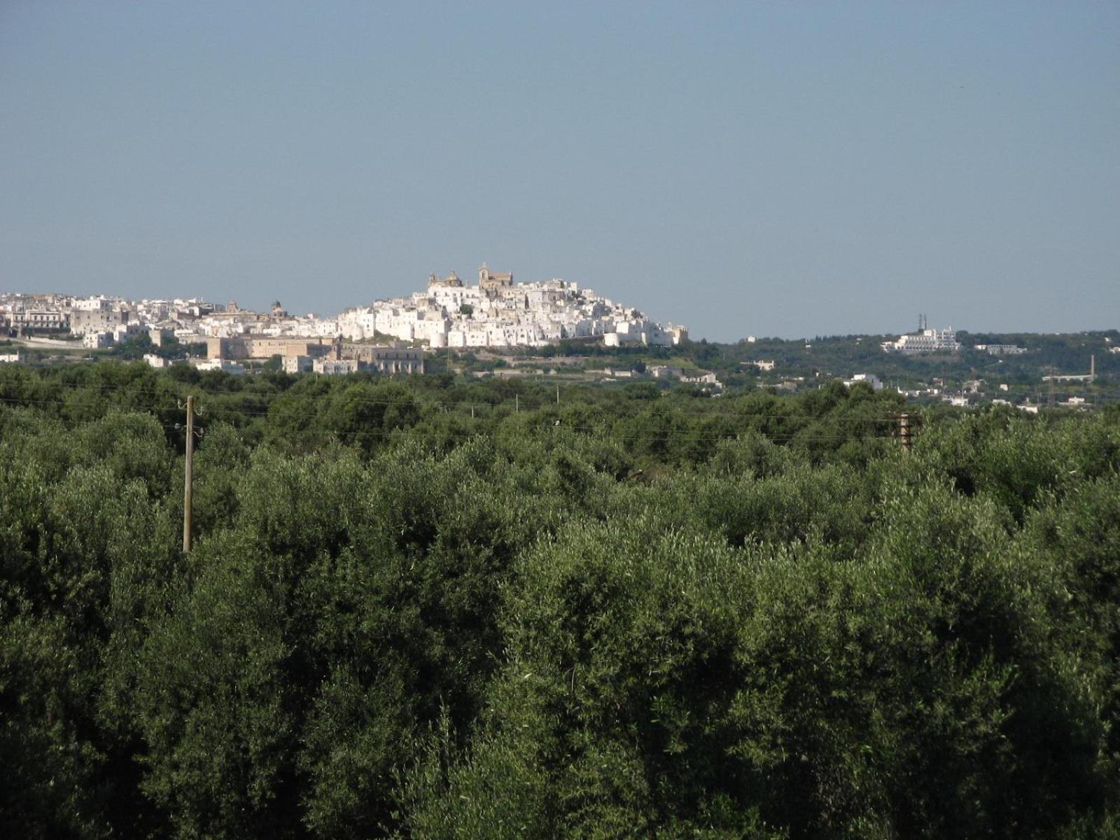 Masseria Asciano Ostuni Ngoại thất bức ảnh