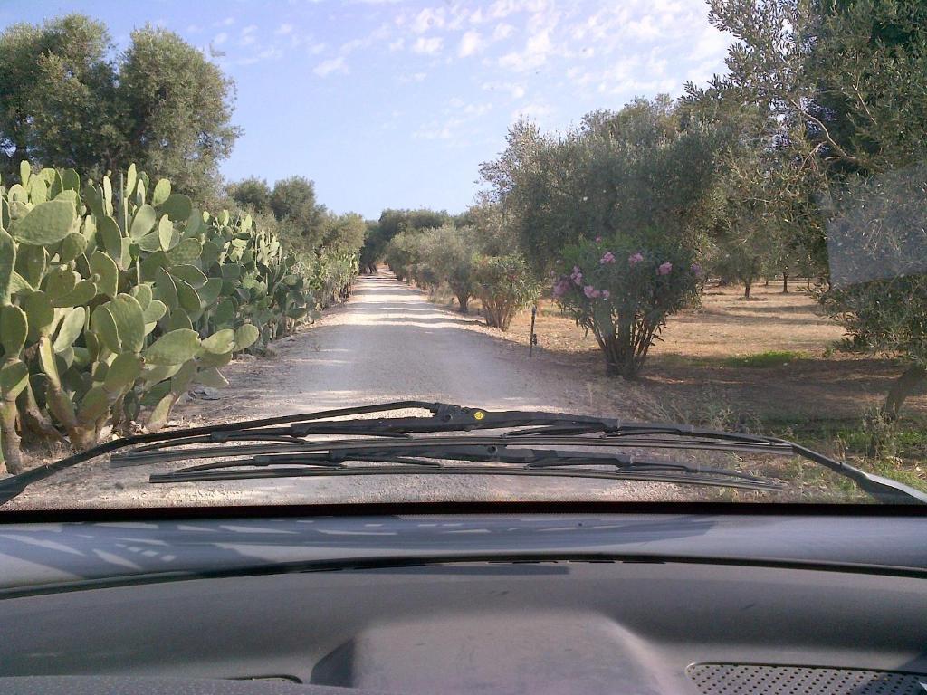 Masseria Asciano Ostuni Phòng bức ảnh